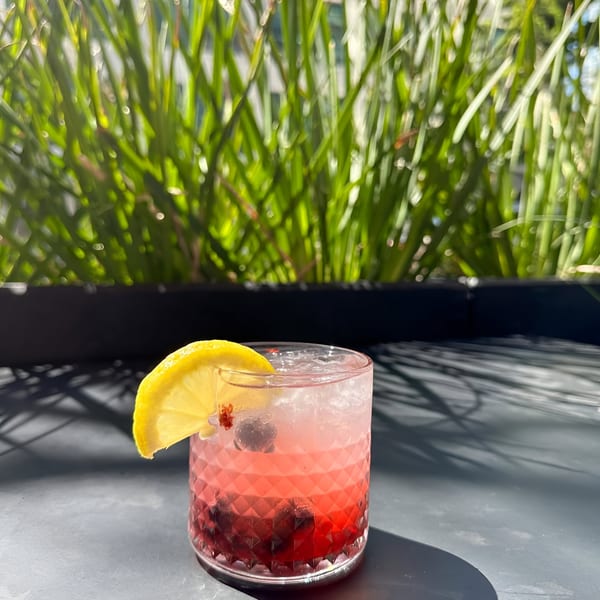 A refreshing red cocktail with berries and a lemon slice, set against a green plant background.